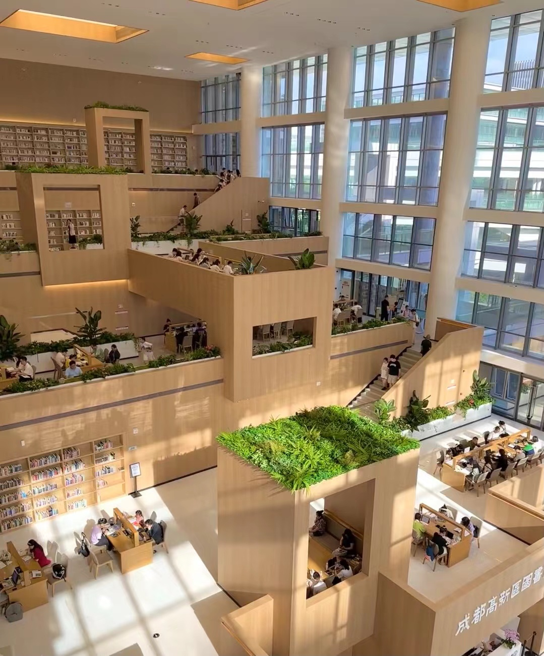 成都高新區圖書館.png
