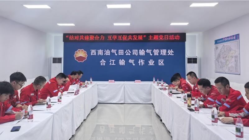 西南油气田输气管理处基层党组织联合开展“结对共建聚合力·互学