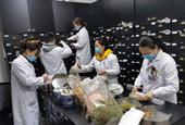 Traditional Chinese medicine treatment can shorten COVID-19 course