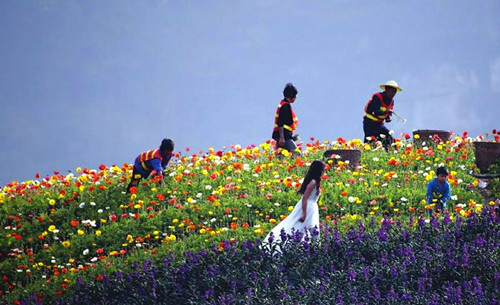 花田酒地