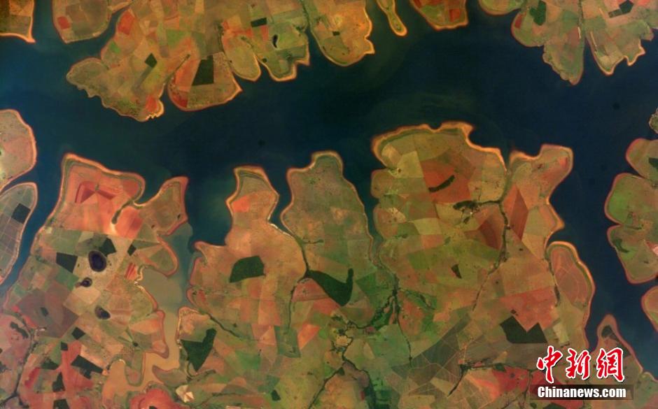 NASA发布巴西世界杯参赛国卫星图_其他图片