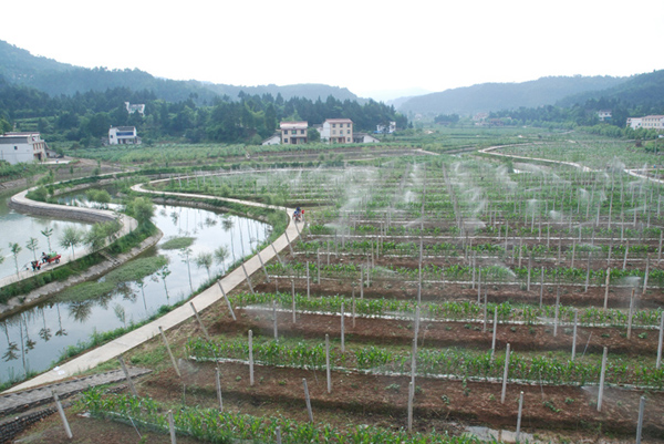 广元市小农水重点县项目五年度完成投资5.19亿