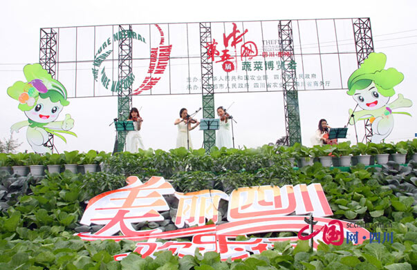 第五届四川蔬菜博览会开幕 招商引资34.62亿