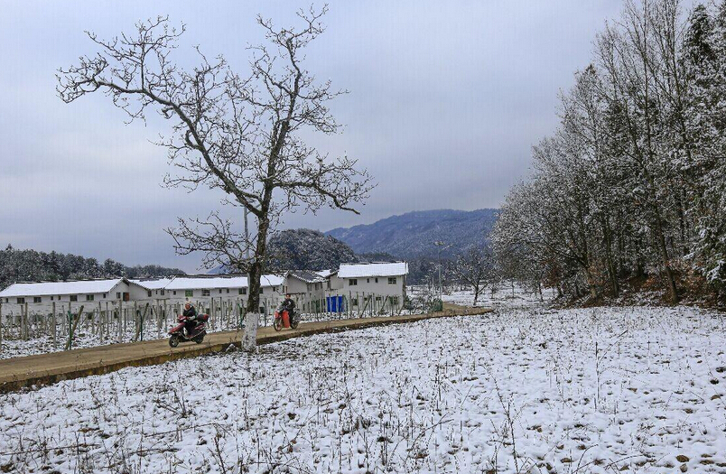 通江县迎来2015年第一次降雪 