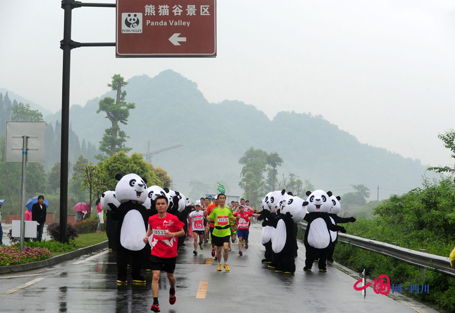 大熊猫陪你一起跑！