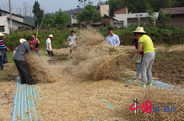 陳雪峰帶隊到農村聯繫點開展送農資助春耕活動