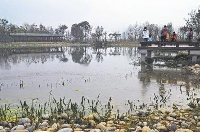 成都青龙湖水库一期建成开放 "动静"结合好看好耍