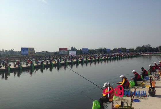 四川省2015年度首届金龙鱼杯钓鱼运动锦标赛
