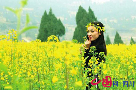 南充市顺庆区首届油菜花节将在3月择日举行 -
