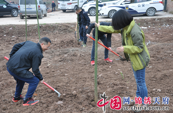 射洪县检察院组织开展义务植树活动