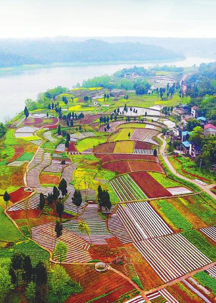 3月28日,华蓥市明月镇竹河村蔬菜产业基地掠影.