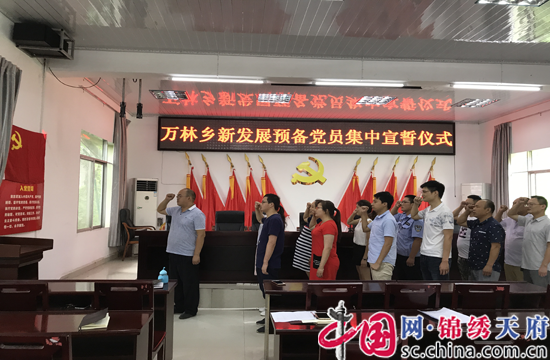 射洪县万林乡举行2017年度新发展党员集体宣誓仪式 