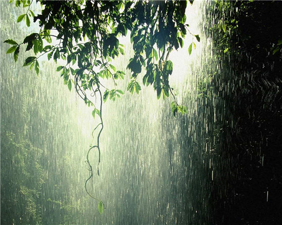 夏雨落下便是晴天