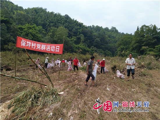 洪雅县三宝镇人口_洪雅县高庙镇城市图片