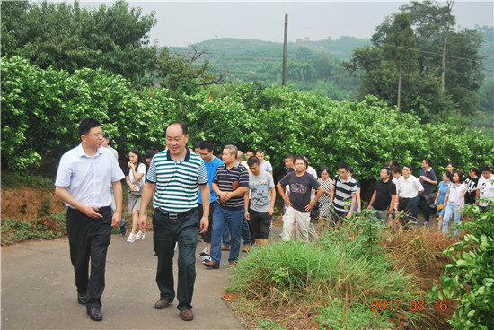 东坡区第一书记流动现场会在广济乡五一村召开